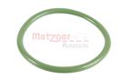 METZGER 2430003