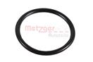 METZGER 2430009