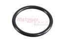 METZGER 2430059