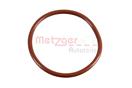 METZGER 2430060