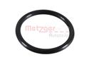 METZGER 2430119