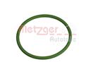 METZGER 2430153