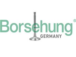 Borsehung B19001