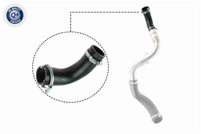 VAICO V25-1023 EAN: 4046001786143.