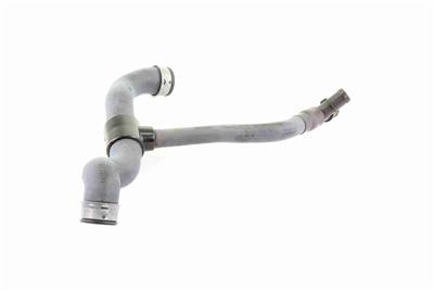 VAICO V30-2231 EAN: 4046001634260.