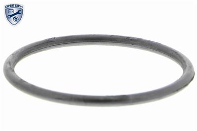 VEMO V15-99-2022-1 EAN: 4046001440243.