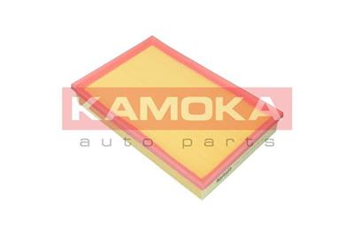 KAMOKA F242901