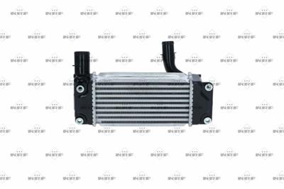 NRF 30245 EAN: 8718042108593.