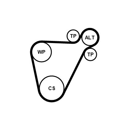CONTITECH 8PK954 EXTRA K1