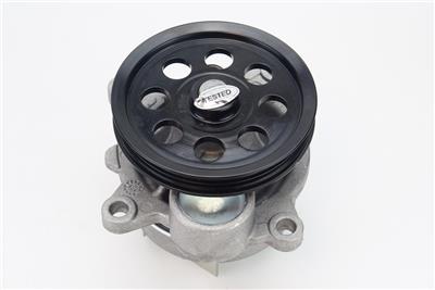 CONTITECH WPS3170 EAN: 4010858995812.