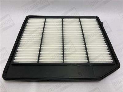 CHAMPION CAF101234P EAN: 4060426466305.