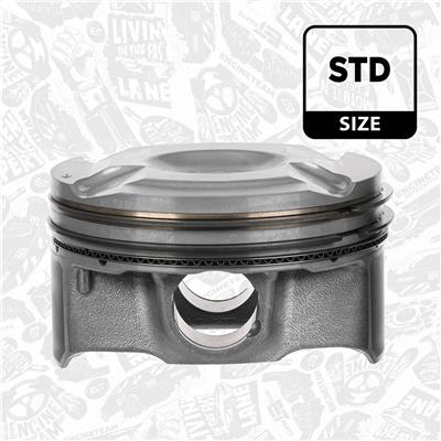 ET ENGINETEAM PM016000