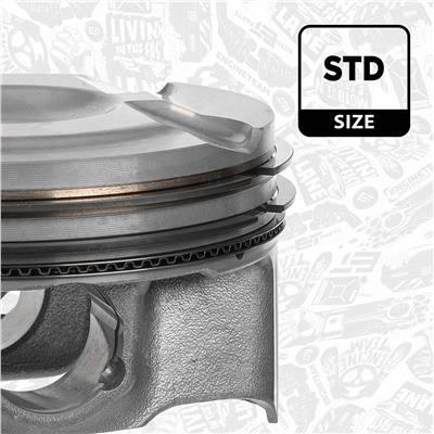 ET ENGINETEAM PM016000