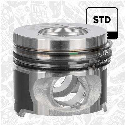 ET ENGINETEAM PM016100