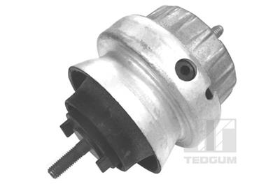 TEDGUM 00056444 EAN: 5908229981290.