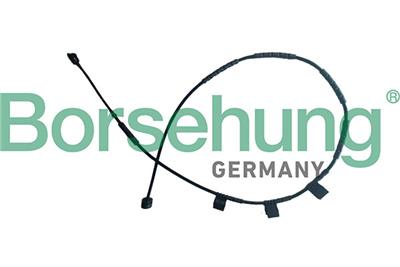 Borsehung B13166