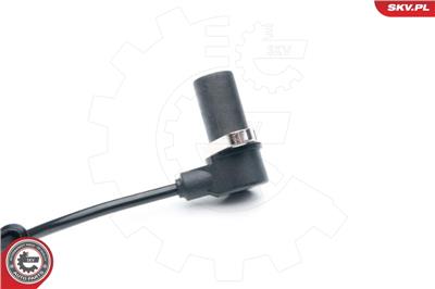 ESEN SKV 06SKV310 EAN: 5901947328460.