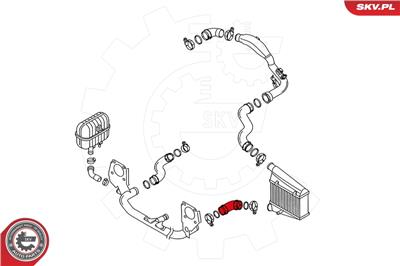 ESEN SKV 24SKV117 EAN: 5901947334331.