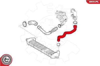 ESEN SKV 24SKV904 EAN: 5901947363447.