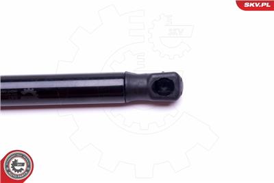 ESEN SKV 52SKV429 EAN: 5903968411138.