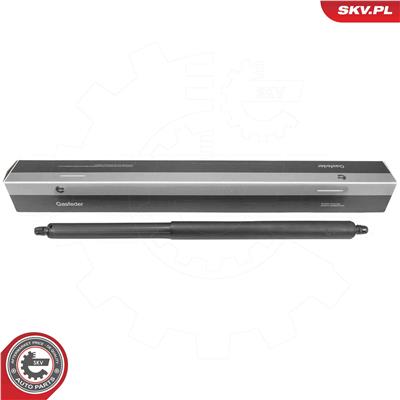 ESEN SKV 52SKV855 EAN: 5906302238378.