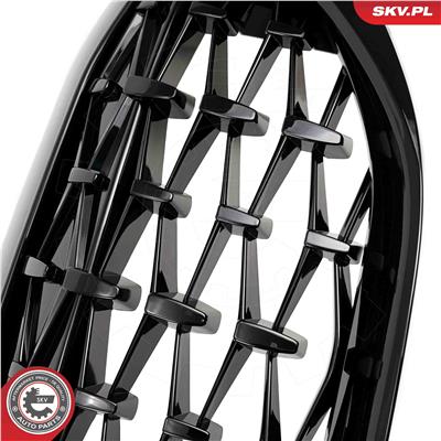 ESEN SKV 66SKV141 EAN: 5903968483005.