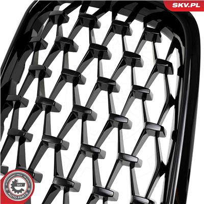 ESEN SKV 66SKV269 EAN: 5903968484286.