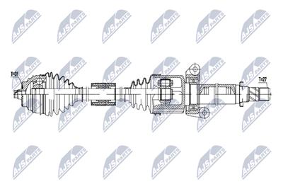 NTY NPW-BM-254 EAN: 5902048360083.