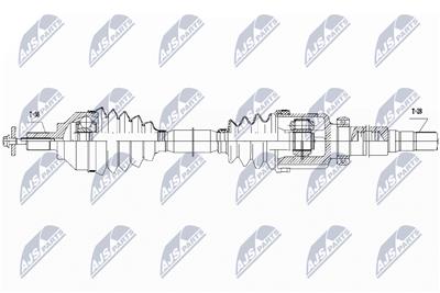 NTY NPW-VV-113 EAN: 5902048120212.