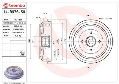 BREMBO 14.B976.50 EAN: 8020584325223.