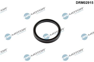 Dr.Motor Automotive DRM02915