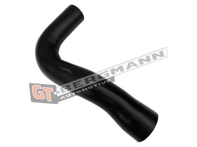 GT BERGMANN GT52-697