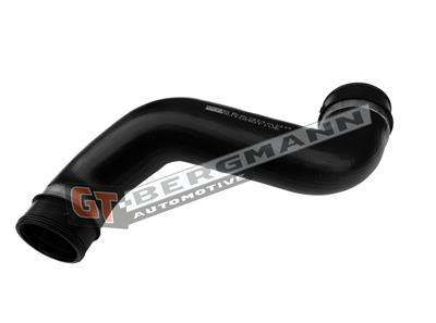 GT BERGMANN GT52-841