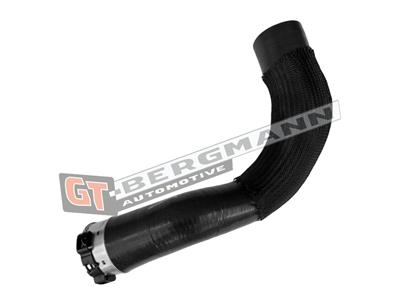 GT BERGMANN GT52-858