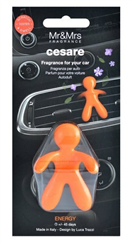 MR & MRS JCESBS05VN CESARE ENERGY