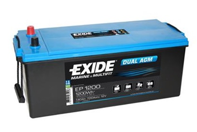 EXIDE DUAL AGM 