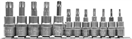 YATO YT-04331 Sada bitov Torx 12 ks (CrV 6150)
