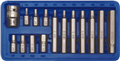 Vorel TO-66720 Sada bitov 15 ks CrV Allen