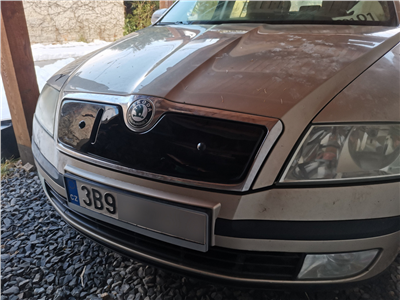 Zimní clona chladiče Škoda Octavia II. 2004-2008 (horní)