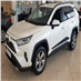 Boční ochranné lišty Toyota Rav4 2019-