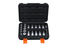 TOKO 100-05906 Nástrčné hlavice a nástrčné hlavice 1/4 - 3/8, bity 1/4, Torx - E-profil, sada 29 dielov - VÝPREDAJ ~