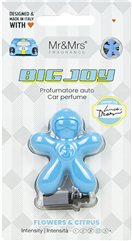 4111902 Mr&Mrs Light blue flowers citrus