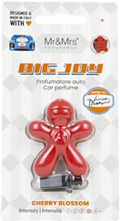 4111904 Mr&Mrs Red cherry blossom