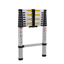 144221 Žebřík teleskopický GA-TZ9, 2,6 m, hliníkový, G21