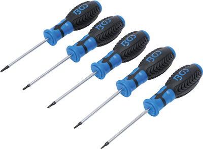 BGS 6826, Sada šroubováků T-profil (pro Torx) s otvorem T6 - T10 5dílná