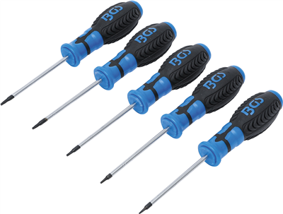 BGS 6828, Sada šroubováků T-profil (pro Torx) T6 - T10 7dílná