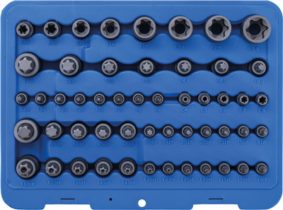 BGS 9839, Sada nástrčných hlavic na klíče a bity E-profil / T-profil (pro Torx) / T-profil (pro Torx) s otvorem / TP-profil (pro Torx Plus) 52dílná