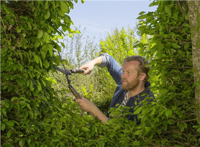Nůžky na živý plot, 230 mm