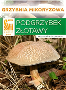 PLANTO PO-SM-HP Hřib plstnatý  (Xerocomus subtomentosus)- mykorhyzní mycelium