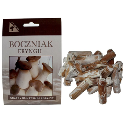 Hlíva máčková (Pleurotus eryngii) 20 ks - podhoubí na kolících